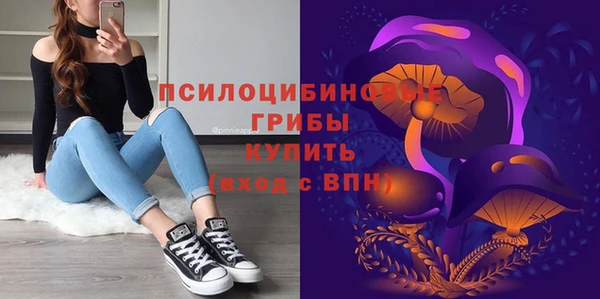 шишки Бронницы